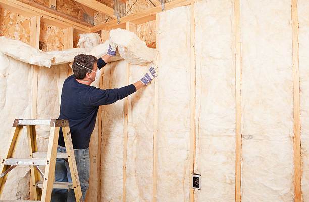 Types of Insulation We Offer in Lafayette, IN